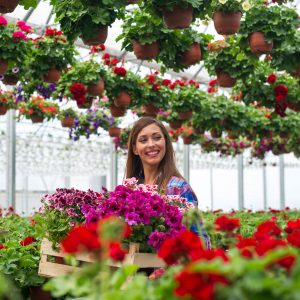 Pot flowers